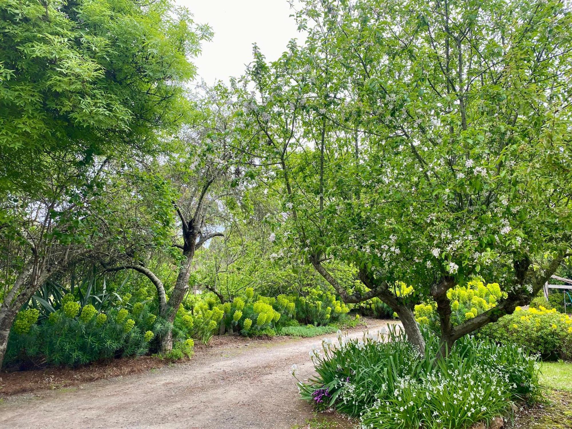 Апартаменти Sutton Spring Art Retreats Дейлсфорд Номер фото